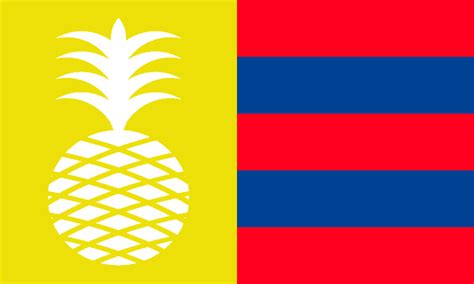 Redesign Of Charleston Scs Flag 3rd Attempt Vexillology