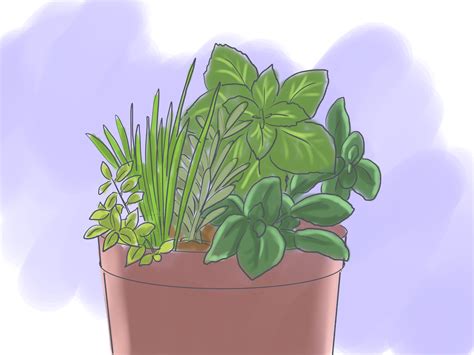 Think about your annual culinary needs and opt for the plants that will serve most of your needs. How to Grow a Container Herb Garden: 7 Steps (with Pictures)