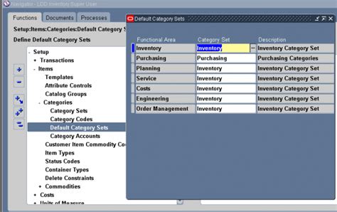 Default Category Sets Oracle Erp Apps Guide