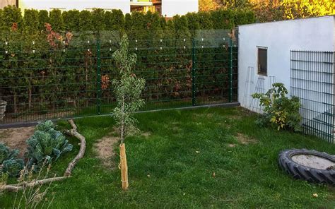 Check spelling or type a new query. katzensicherer garten - atbaldwin