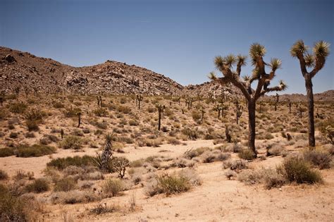 Free Picture Desert Dry Landscape Geology Sandstone Erosion