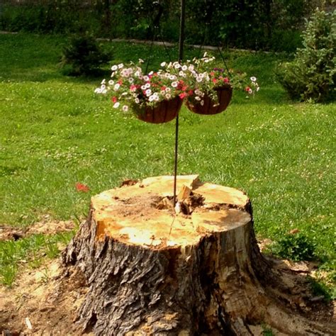 20 Best Images About Tree Stump Ideas On Pinterest A