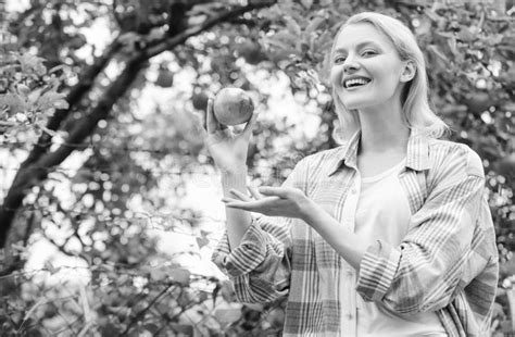 Girl With Apple In The Apple Orchard Stock Image Image Of Pick