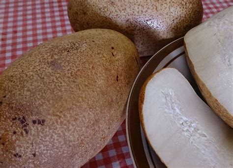 Buah ini memiliki bentuk pipih dengan buah yang juga memiliki nama lain buah menteng atau kepundung ini bernama latin baccaurea racemosa. Bicara Mentari: BUAH BINJAI RASA MASAM LEMAK MANIS