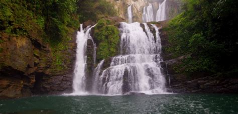 Snag one of unsplash's beautiful nature wallpapers, free to download for all. 9 Best Volunteer Programs in Costa Rica in 2019