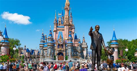 Black Bear Sighting In Tree At Disney World Triggers Closures At Magic