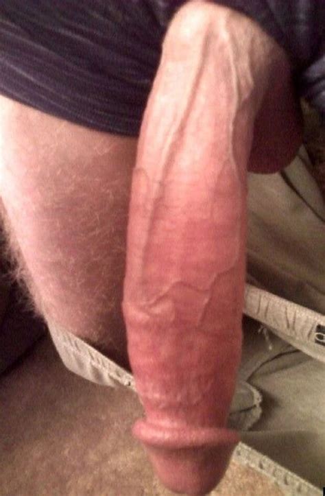 Troy Horse Cock Beefy 11 Inch Cock