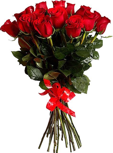 Bubzr5xe6cv 660×895 Beautiful Roses Birthday Flowers