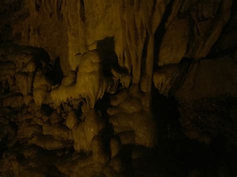 Travel Reviews And Information Mammoth Cave Kentucky National Park
