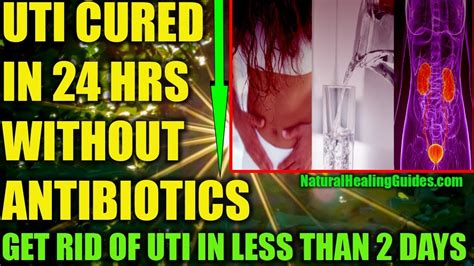 Uti Treatment Without Antibiotics How To Cure Uti At Home Naturally