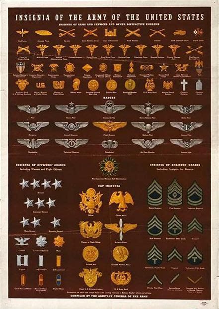 Military Basics And Rank And Insignia Chart Military Insignia
