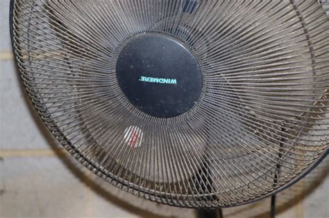 Windmere Oscillating Fan On Stand 4138187317