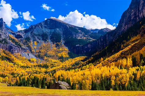 Fall Color Telluride Colorado Usa Blaine Harrington Iii