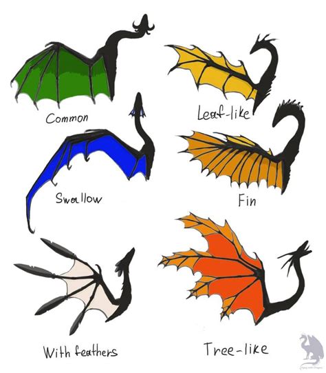 Dragon Wings Types By Flying With Dragons On Deviantart Fly Drawing