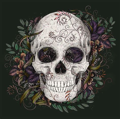 Skull - Digital Illustration on Behance | Skull illustration, Digital illustration, Illustration
