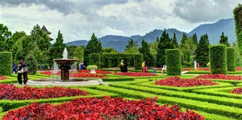 75 ide wisata taman bunga taman bunga