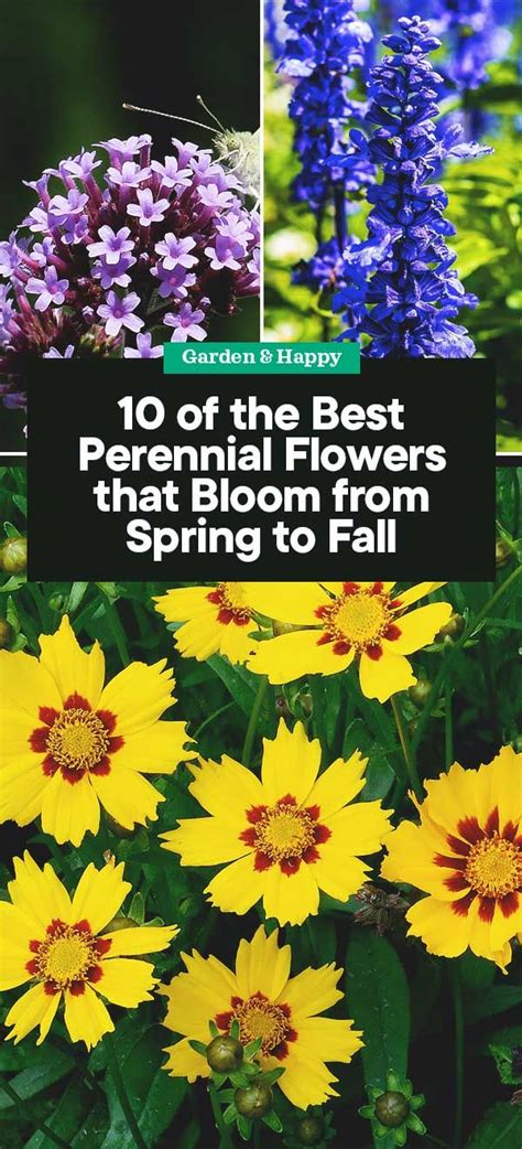 If you want color longer than that, you need to plant perennial flowers that bloom from spring to fall. 10 of the Best Perennial Flowers that Bloom from Spring to ...