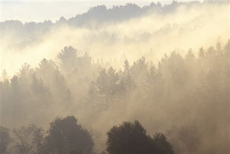 Morning Mist Over Mountains Vt Stock Image Image Of Forest North