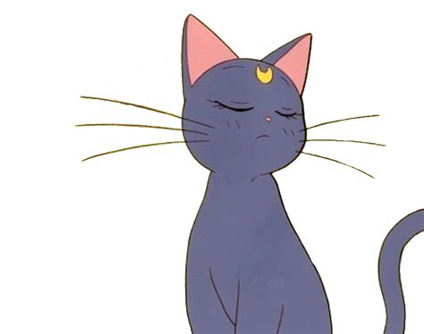 Share the best gifs now >>>. anime cat sailormoon aesthetic tumblr sticker freetoedi...
