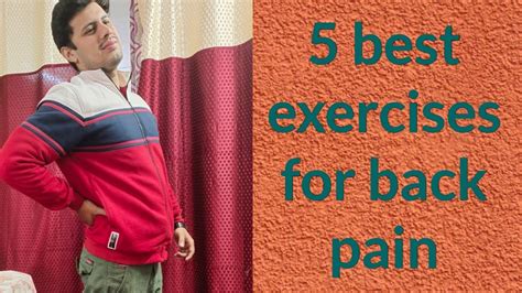 Back Pain Exercises In Hindi कमर दर्द 5 Best Exercise For Lower Back