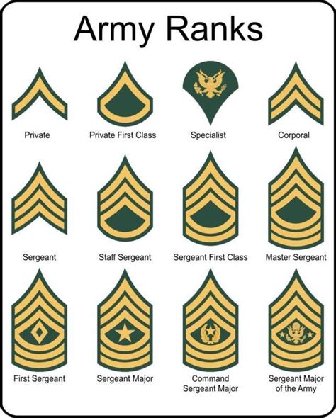 Military Us Army Rank Insignia Metal Sign Collectibles