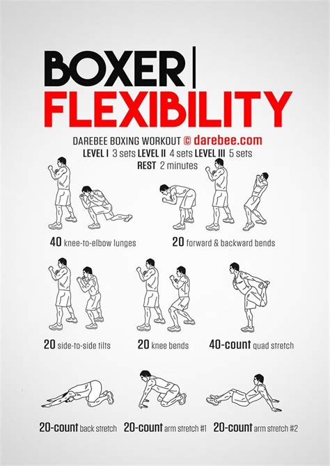 Boxer Flexibility Workout Concentration Full Body Boxer Workout