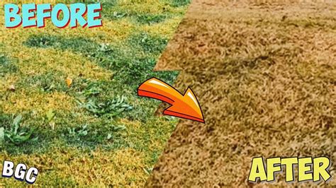 Treating Weeds In Fall And Winter On Your Dormant Bermuda Lawn Made