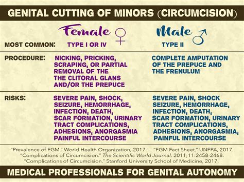 Types Of Circumcision