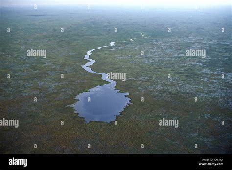 Ibera Wetlands Argentina Hi Res Stock Photography And Images Alamy