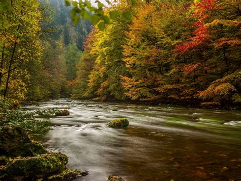 Harz Germany Autumn River Trees Scenery High Quality Wallpaper Preview