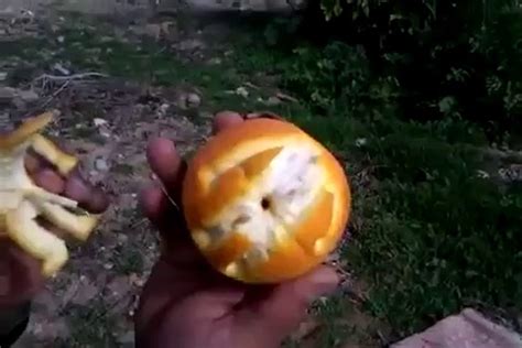 Eplucher Une Orange En Mode 50 Shades Of Grey Vidéo Dailymotion