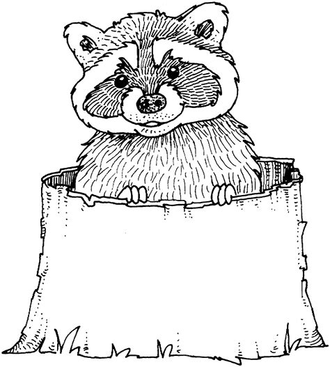 Coloring Page Of A Raccoon Coloring Home