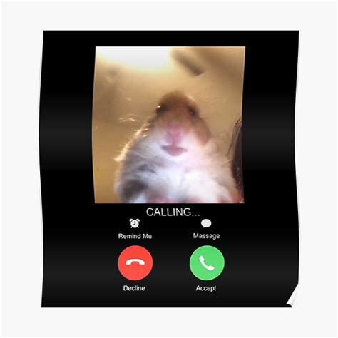 Hamster Cult Pfp Profile Picture Funny Memes Profile Picture Hamster