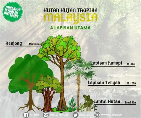 Jenis Tumbuhan Hutan Hujan Tropika Eshleynblevins