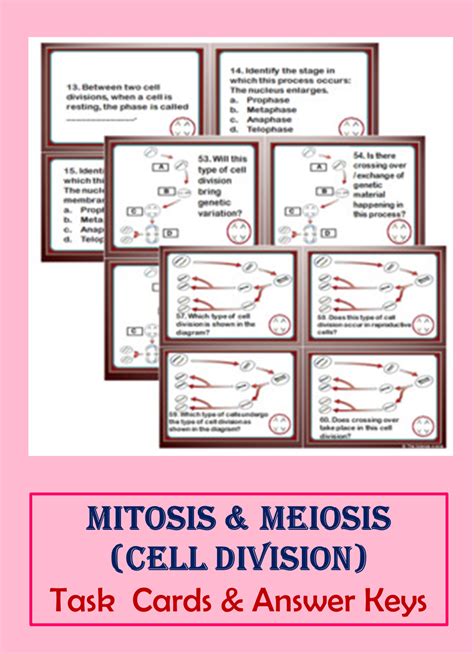 Cell Division Task Cards Mitosis And Meiosis Task Cards 60