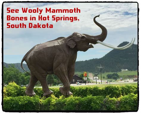 Walk Among Fossils At The Mammoth Site Of Hot Springs South Dakota