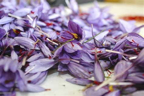 tida silk road trading tida saffron export of saffron and dried fruit