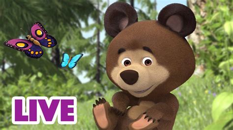 🔴 Live 🐻👧 Masha Y El Oso 2023 📕👶sin Errores Solo Lecciones🎬 Masha And The Bear Youtube