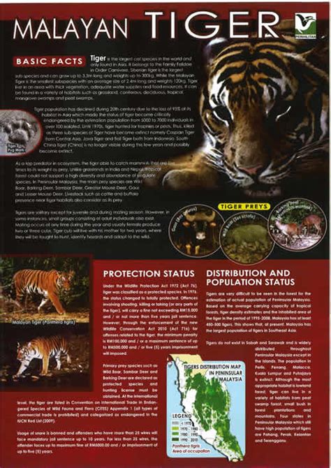 Malayan Tiger Pamphletbrochure Malaysia Biodiversity Information