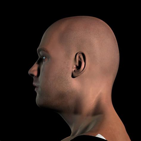 3d Human Head V1 By Vefilanna 3docean