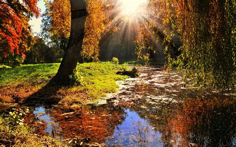 Fondos De Pantalla 3840x2400 Fotografía De Paisaje Otoño Bosques Lago