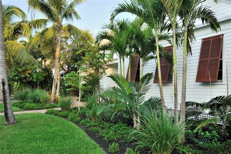 Palm Tree Landscape Design Ideas Landscaping