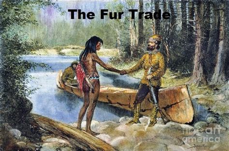 Most Historians Agree That Aboriginals Played A Vital Role In The Fur Trade By 1800 Aboriginal