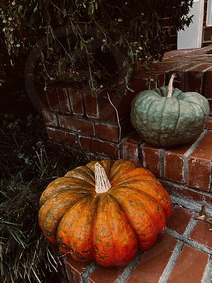 Pumpkins By Cathy Hogan Smith Photo Stock Studionow