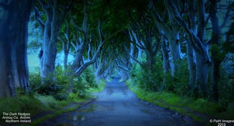 The Dark Hedges From Game Of Thrones A Photo On Flickriver
