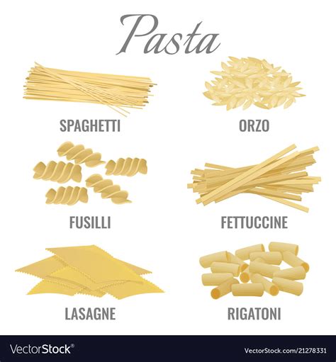 Pasta Types Spaghetti And Orso Set Royalty Free Vector Image
