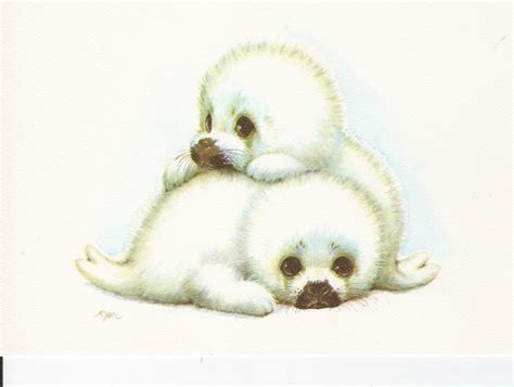 Baby Seals Ruth Moorehead Cute Drawings Cute Animal Illustration