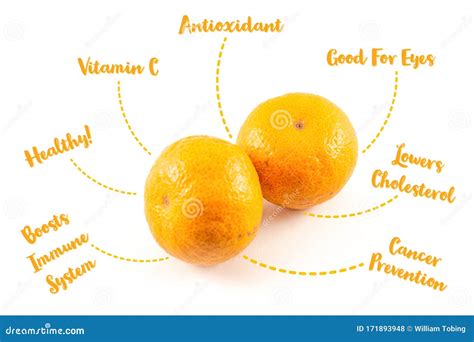 Nutrition Fact And Health Benefit Of Orange Fruit Isolated On White