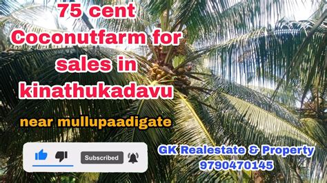 75 Cent Coconutfarm For Sales In Kinathukadavu Near Mullupaadigate
