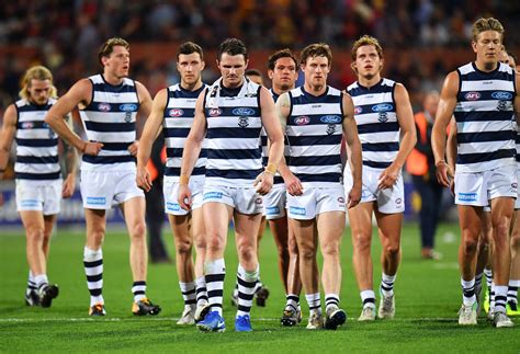 Find all your geelong cats merchandise at our online shop. The face palm before the storm: Geelong's 2018 season preview